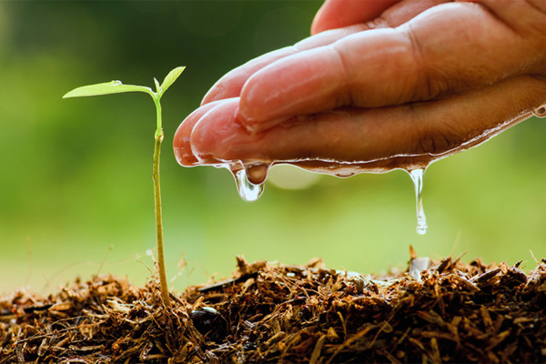 Agricultural Science