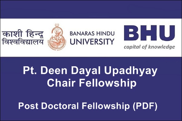 Pt. Deen Dayal Upadhyay Chair Fellowship