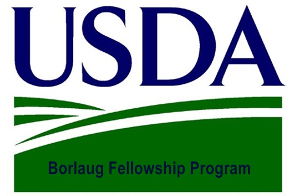 Borlaug Fellowship Program