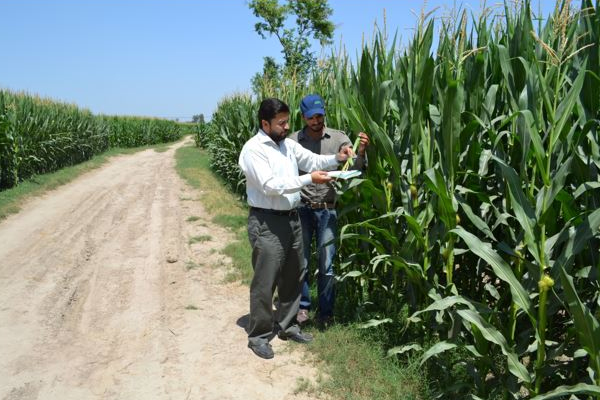 Agronomist