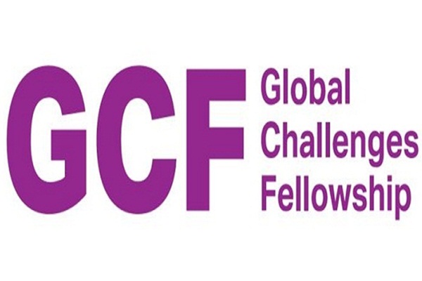 Global Challenges Fellowship Program in Germany