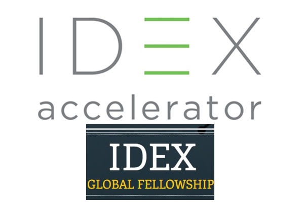 IDEX Global Fellowship