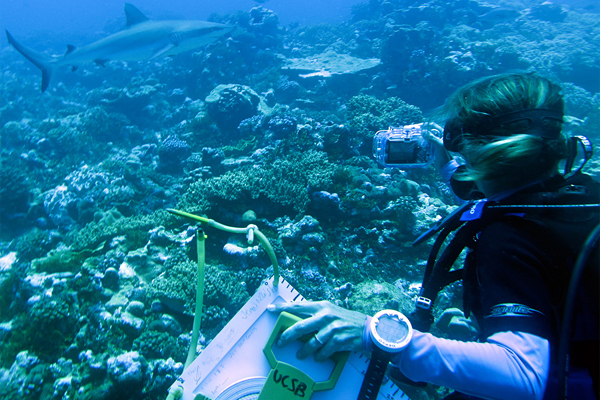 how-to-become-a-marine-biologist-requirements-and-necessities-2022