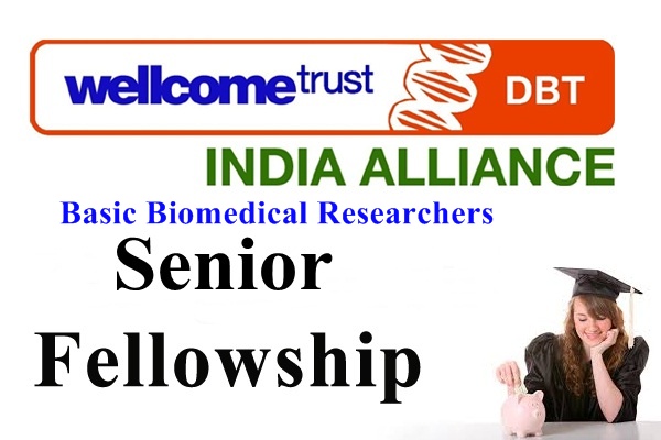 Senior Fellowships for Basic Biomedical Researchers