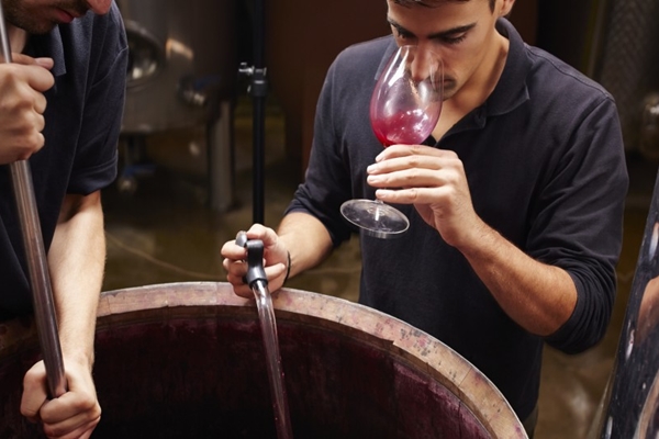 wine making classes